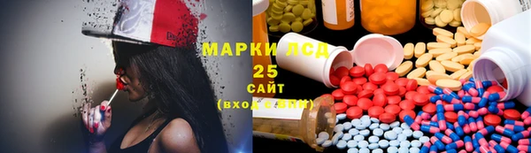 прущие грибы Верхний Тагил