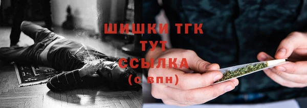прущие грибы Верхний Тагил