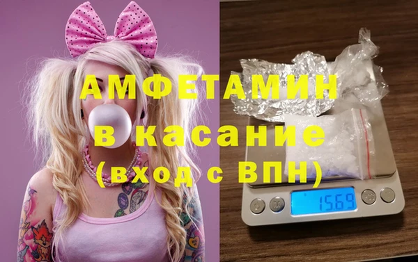 прущие грибы Верхний Тагил