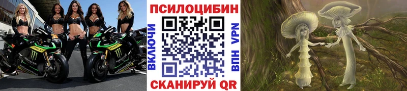 Галлюциногенные грибы Cubensis  Видное 